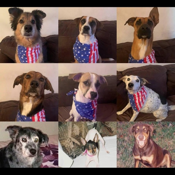 Meet your Posher, Rachel - Picture 8 of 8